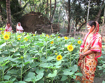 Rangabelia, 24 Parganas, Sundarbans
